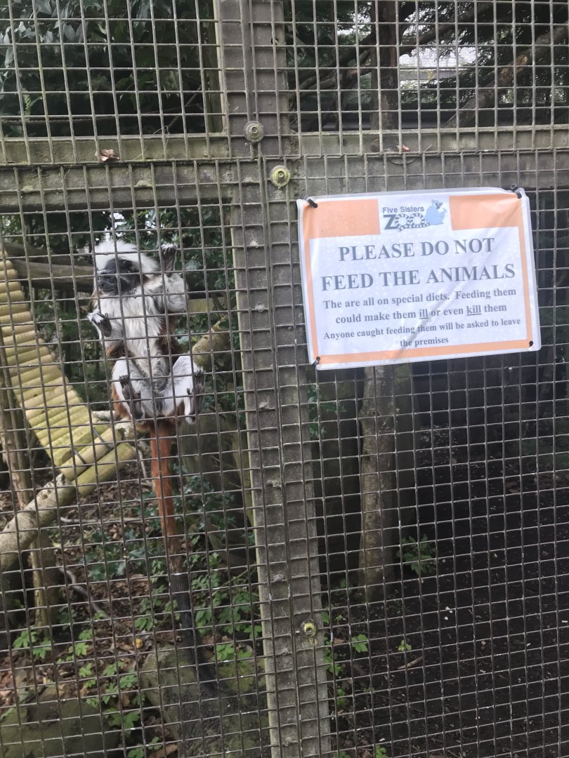 Please don’t feed the animals