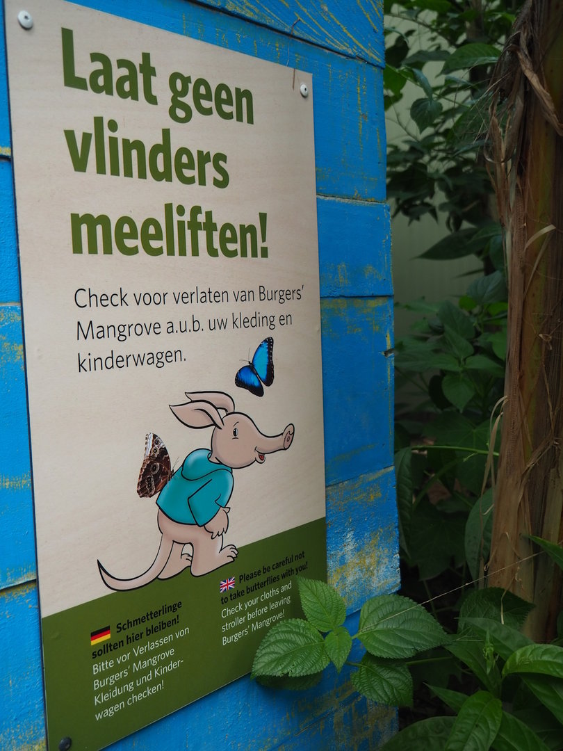 Please don't take butterflies outside signage, 2023-10-07