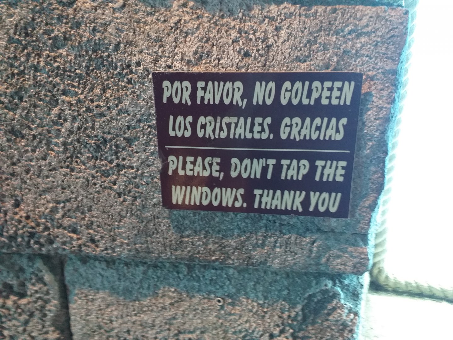 Please don't tap the window -MundoMar Benidorm (2021)