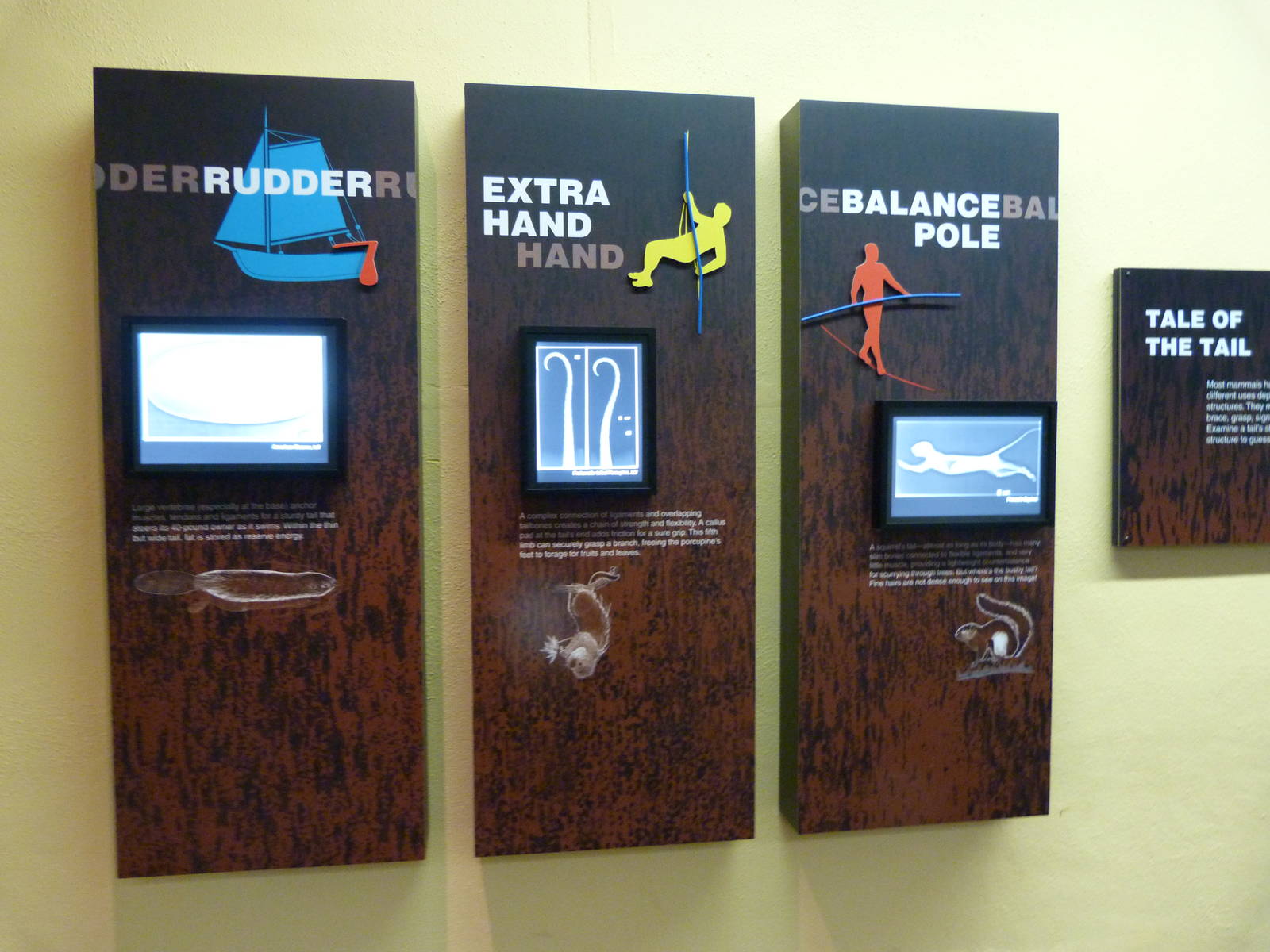 Please move to Smithsonian Zoo album