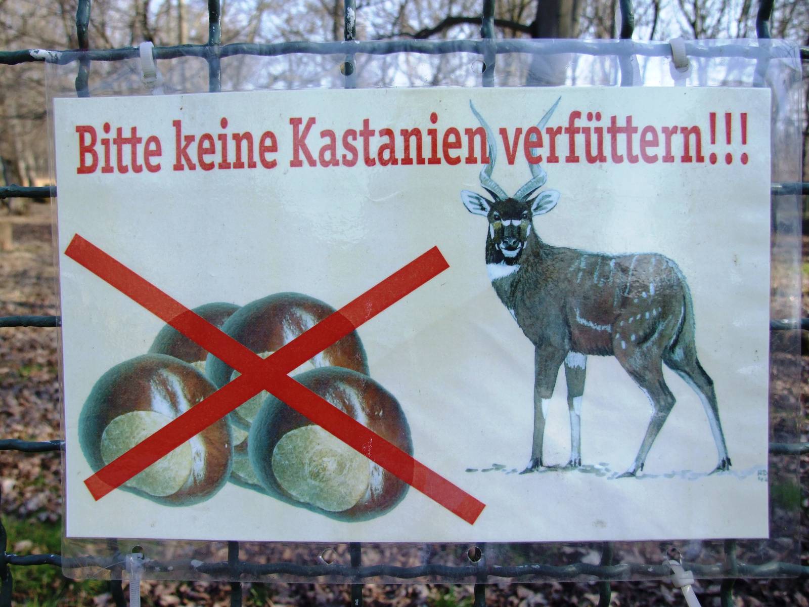 Pleasingly-specific Signage (Part 3) at Erfurt, 18/03/15