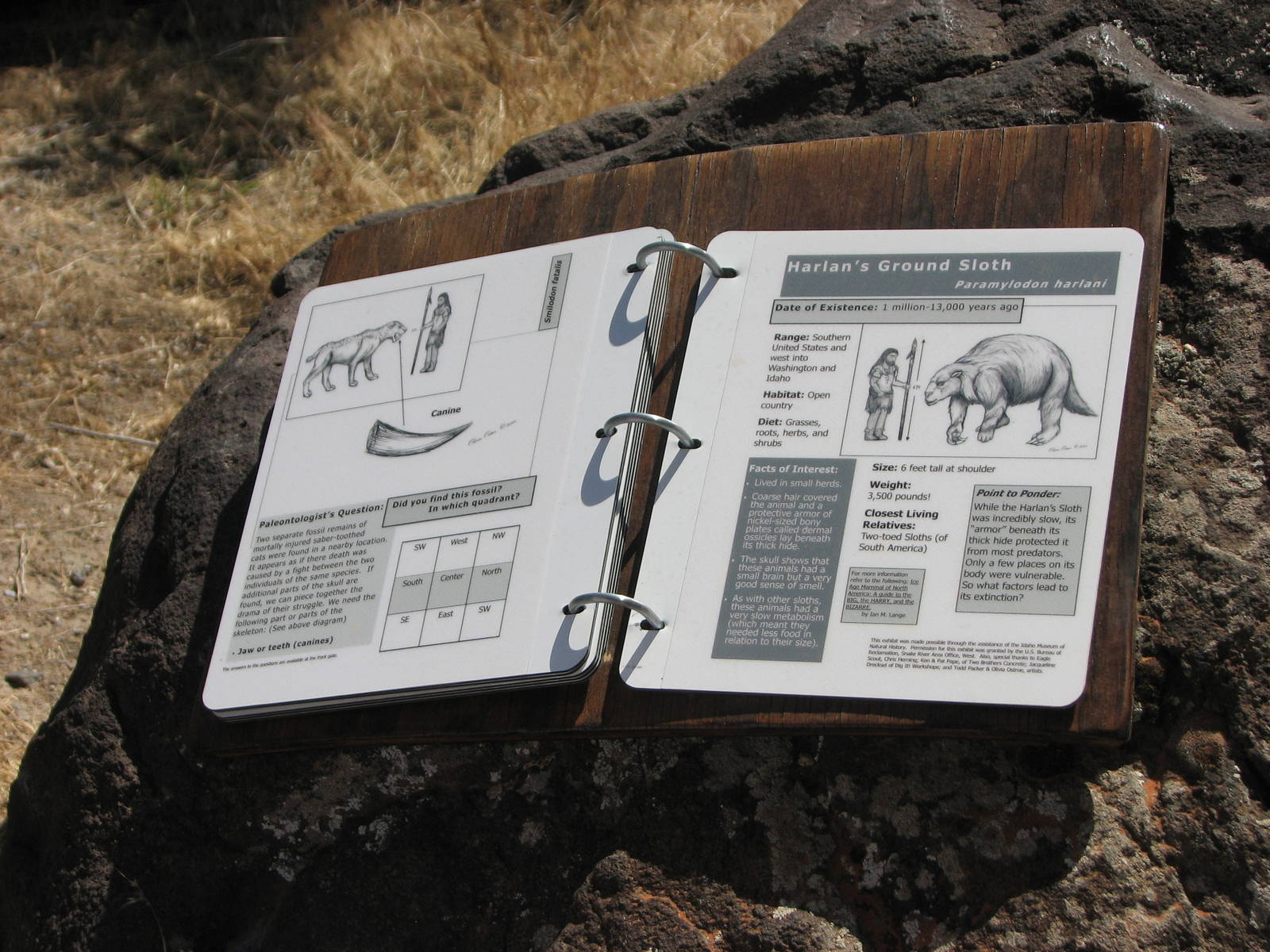 Pleistocene Dig Site Play Area