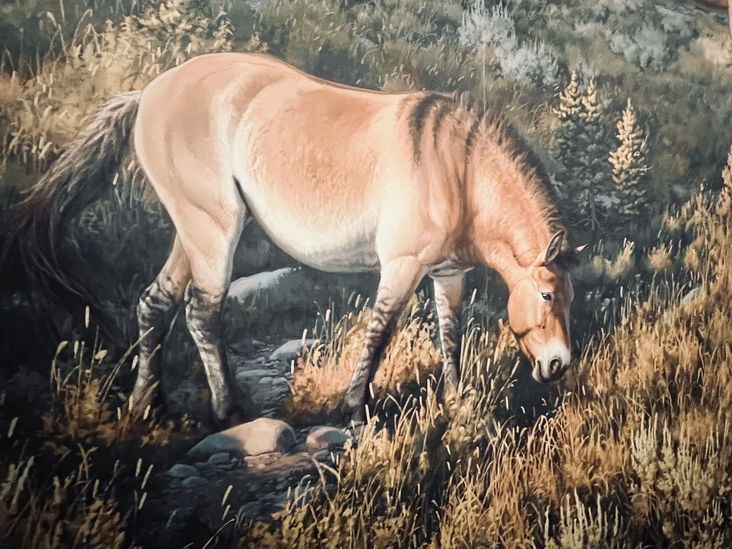 Pleistocene Horse