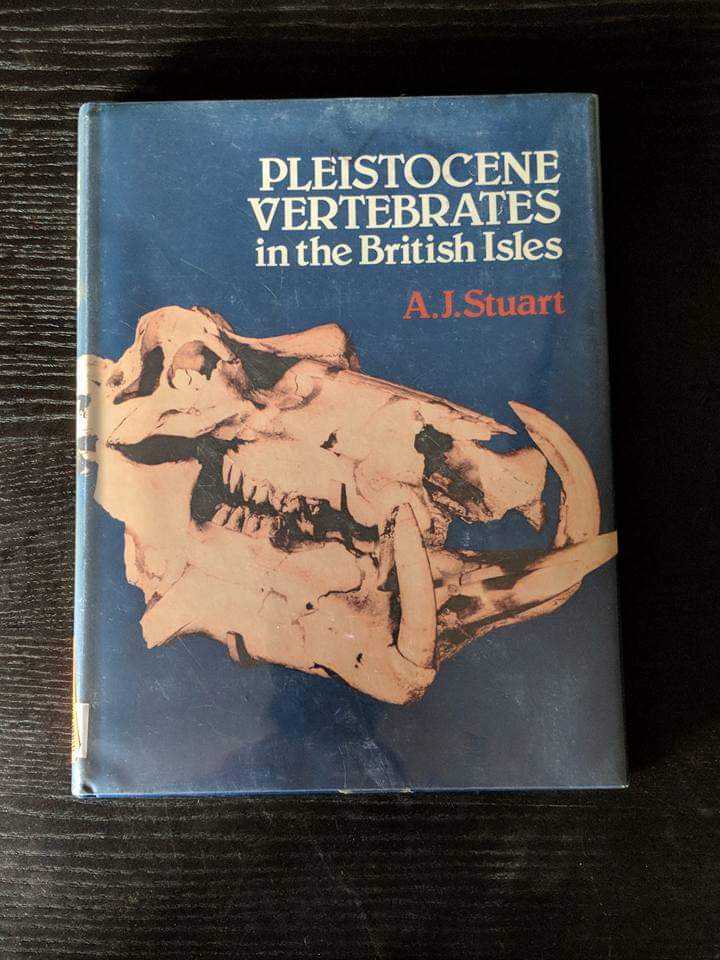 Pleistocene Vertebrates in the British Isles