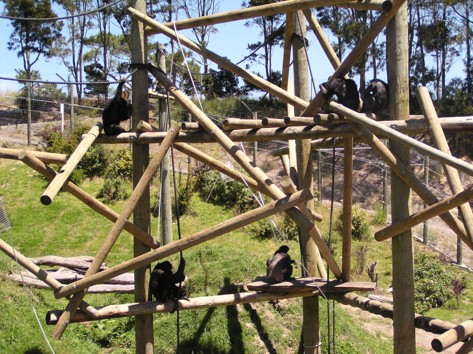 Plenty of room for all