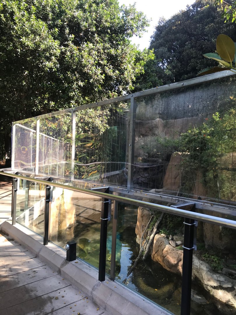 Plexiglass at the swamp monkey exhibit.