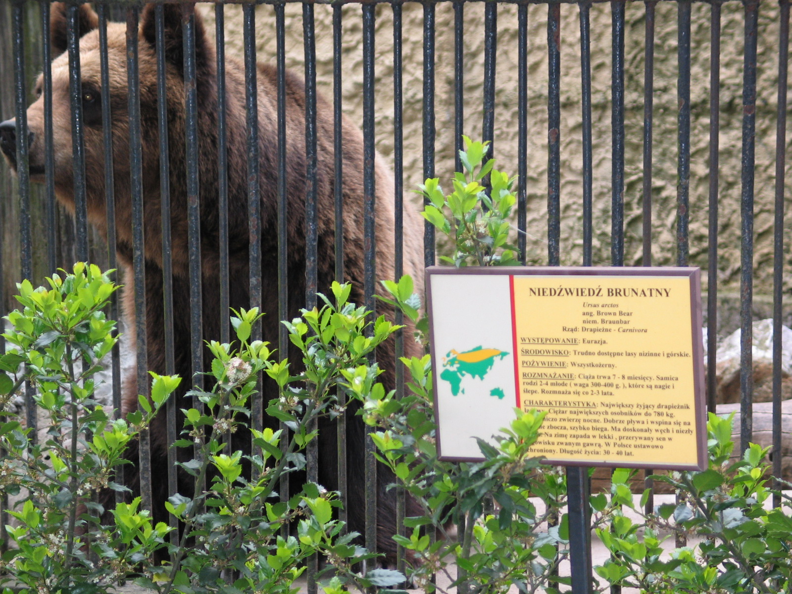 Plock Zoo / May 2005