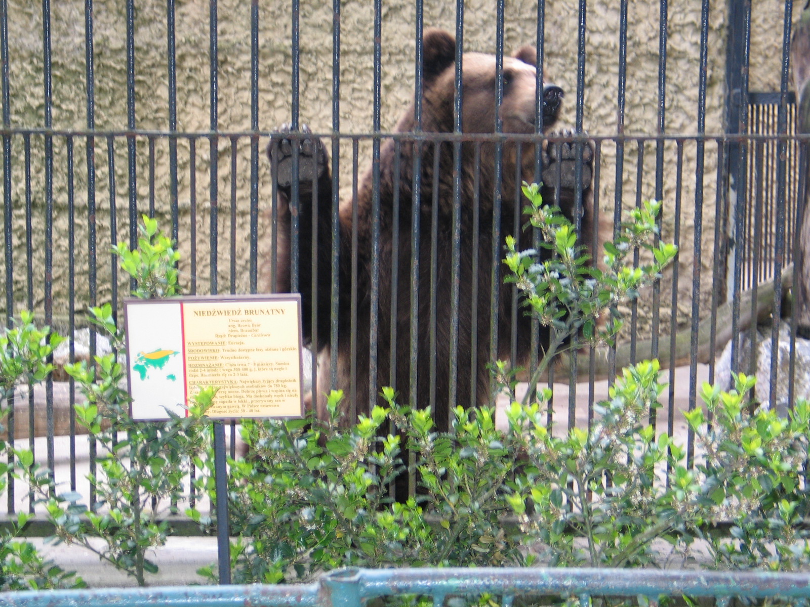 Plock Zoo / May 2005