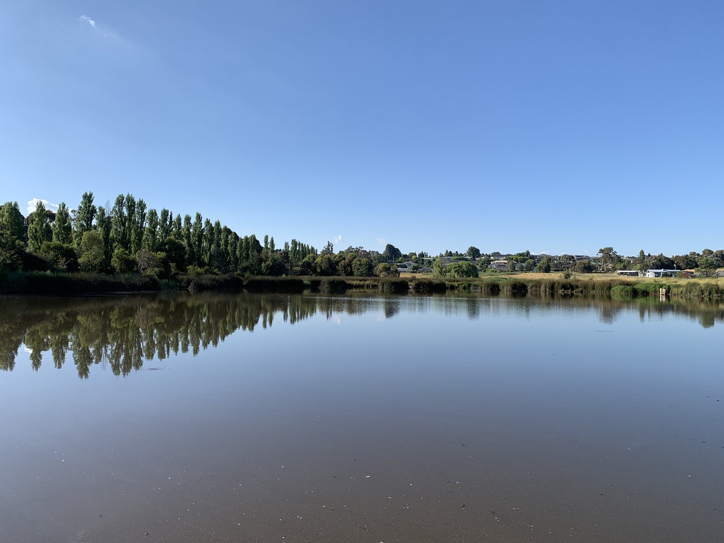 Ploughman’s Wetland, Orange