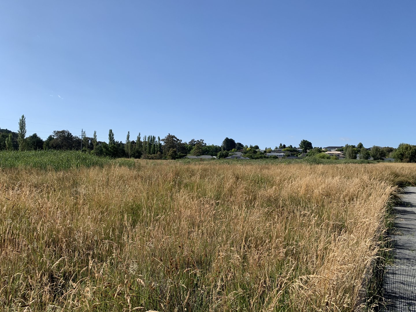 Ploughman’s Wetland, Orange