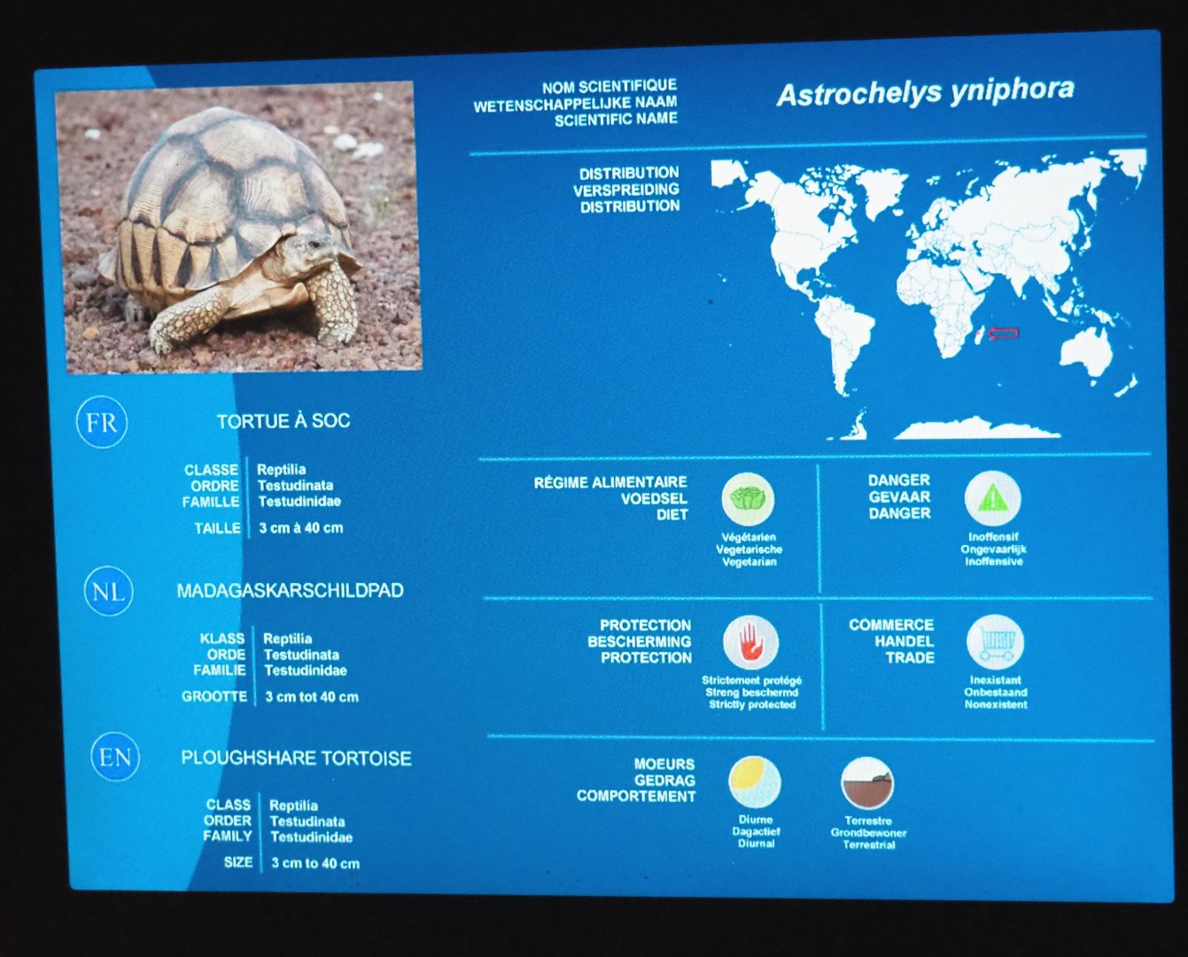 Ploughshare tortoise signage, 2021-09-03