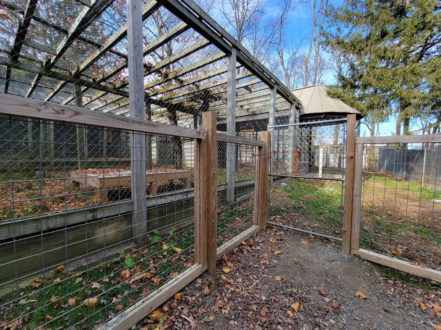 Plumpton Park - Bears