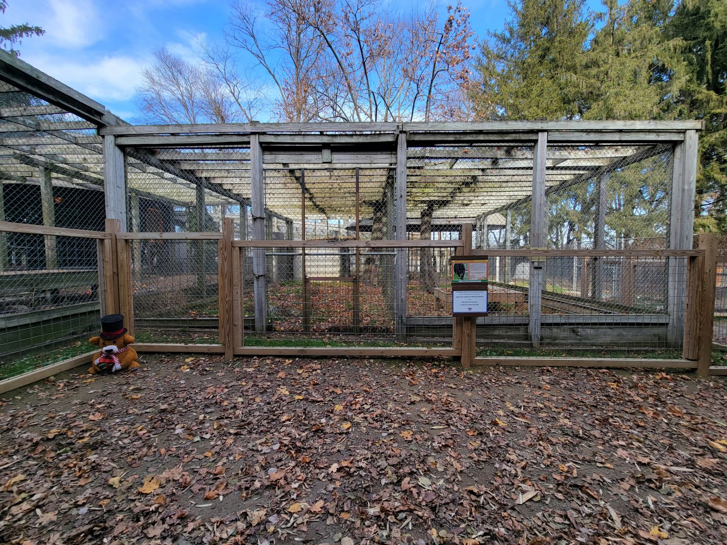 Plumpton Park - Bears