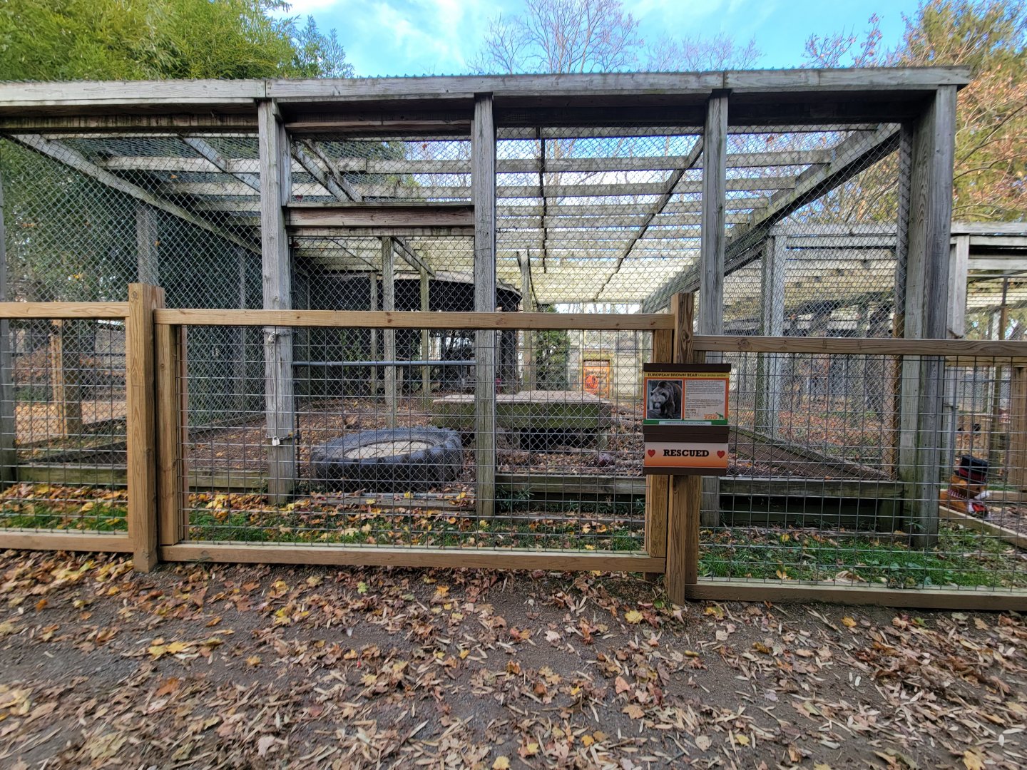 Plumpton Park - Bears