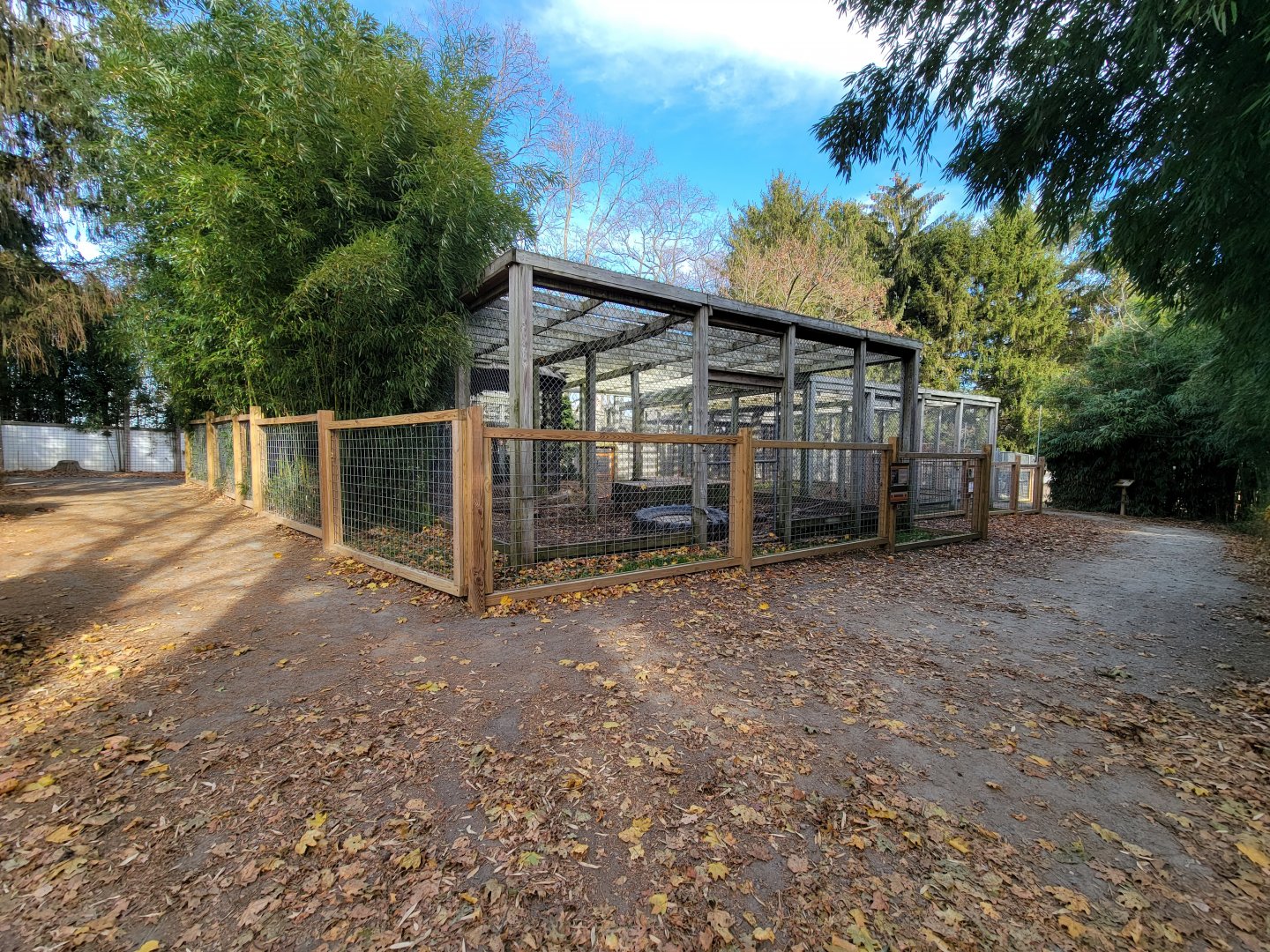 Plumpton Park - Bears