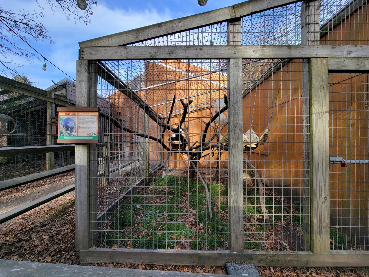 Plumpton Park - Binturong exhibit #2