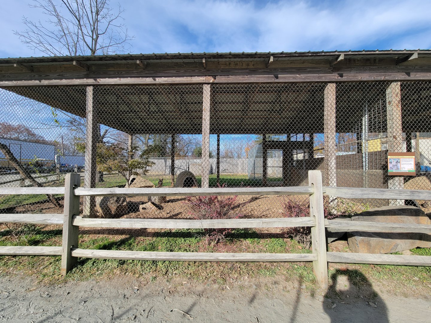 Plumpton Park - Black-backed jackals, exhibit #2
