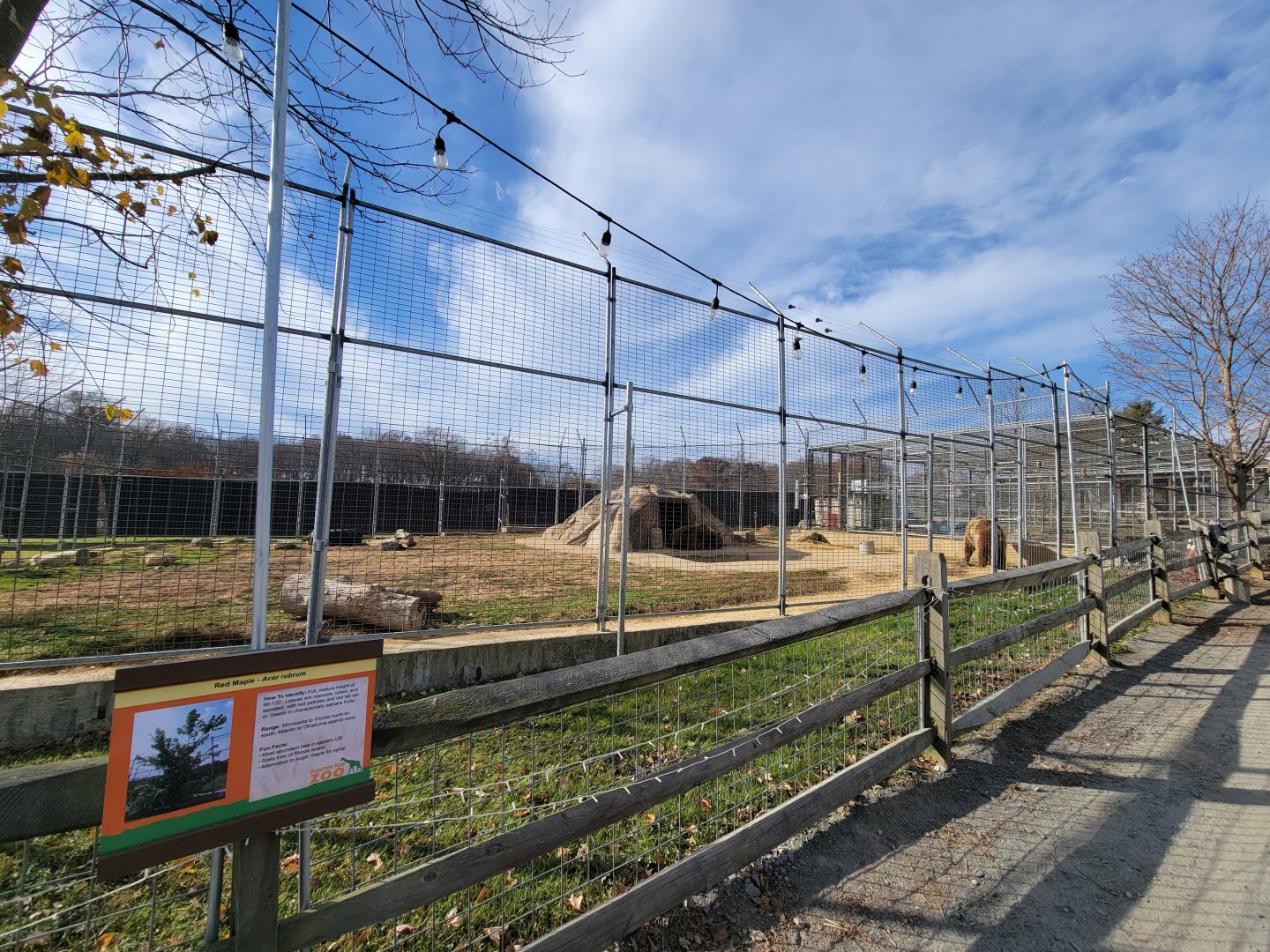 Plumpton Park - Brown bears
