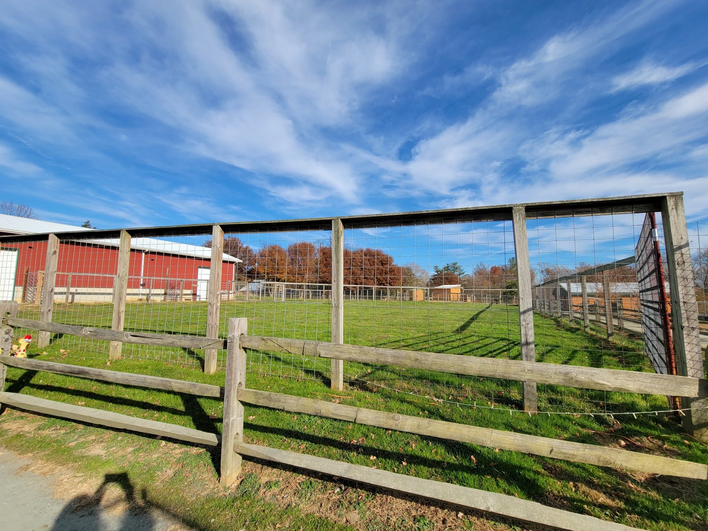 Plumpton Park - Giraffe yard