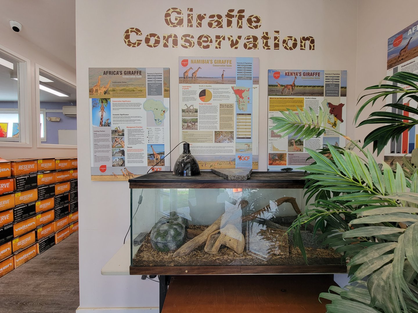 Plumpton Park - Inside of Giraffe "Conservation" building (where the bathrooms are)