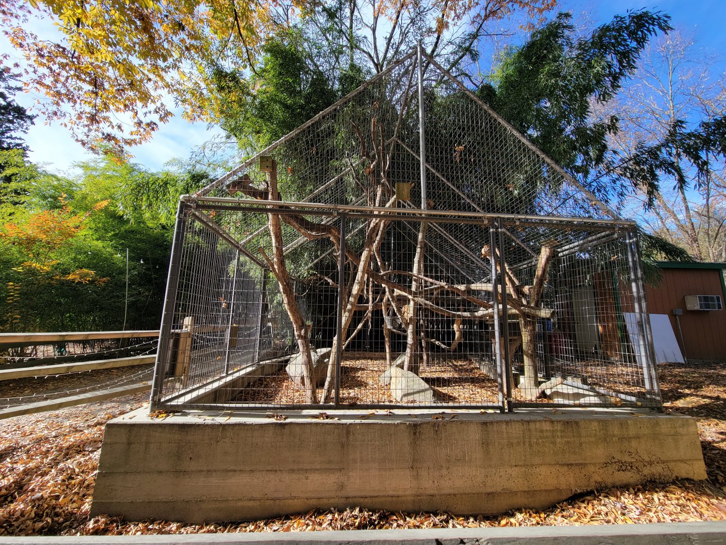 Plumpton Park - Linnaeus's sloth and red-footed tortoise (formerly "empty exhibit at entrance")