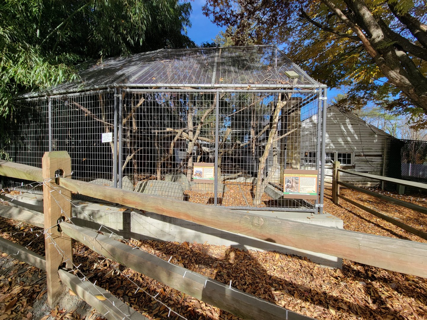 Plumpton Park - Linnaeus's sloth and red-footed tortoise (formerly "empty exhibit at entrance")