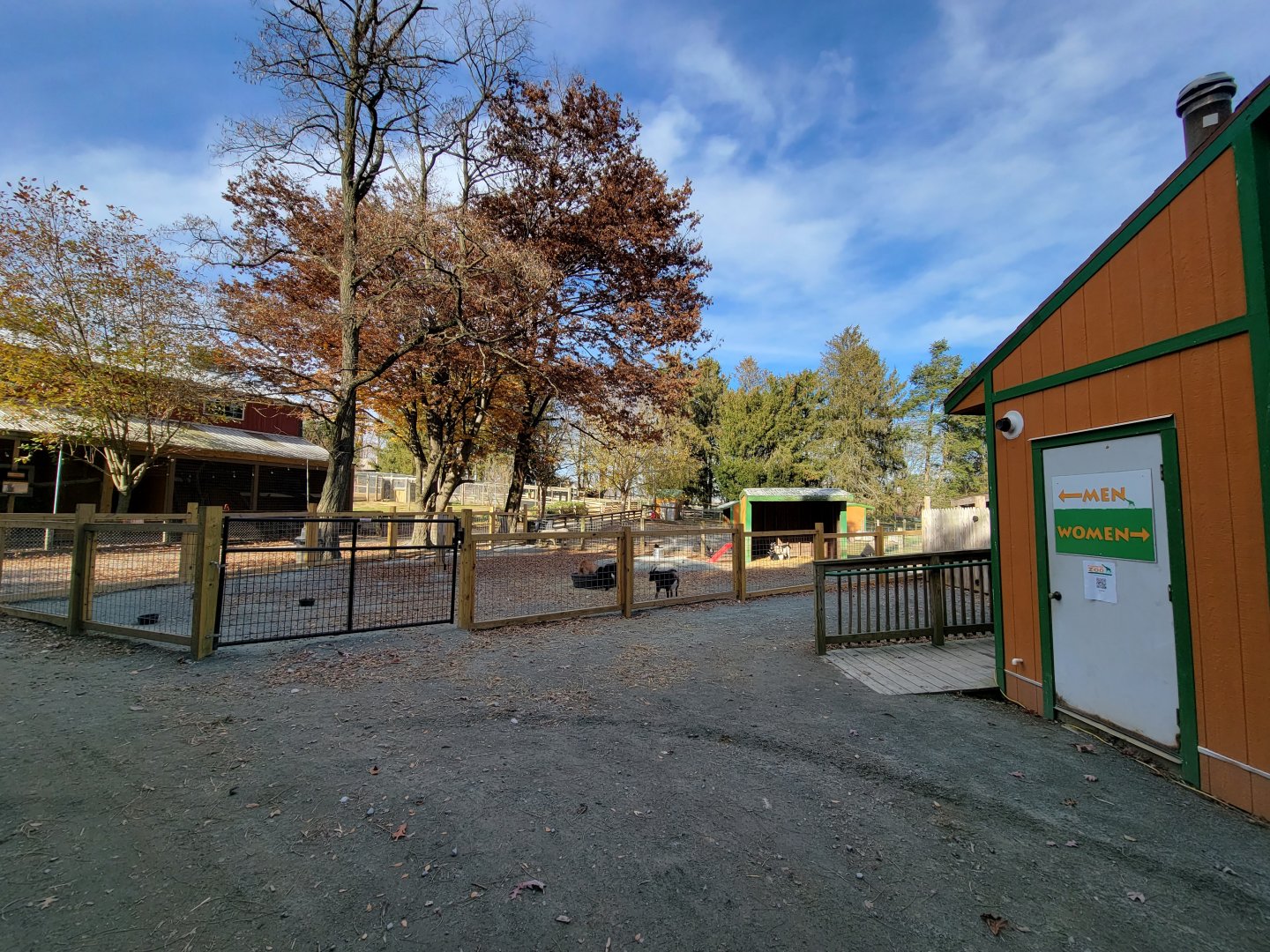 Plumpton Park - More goats