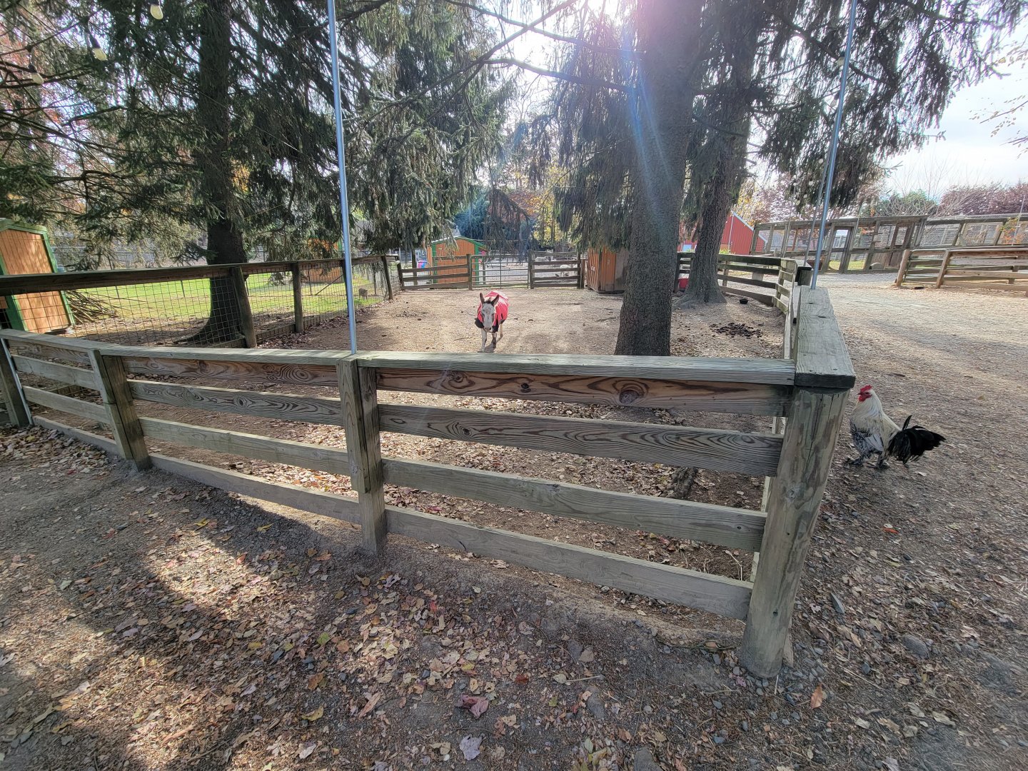 Plumpton Park - One of several donkey yards