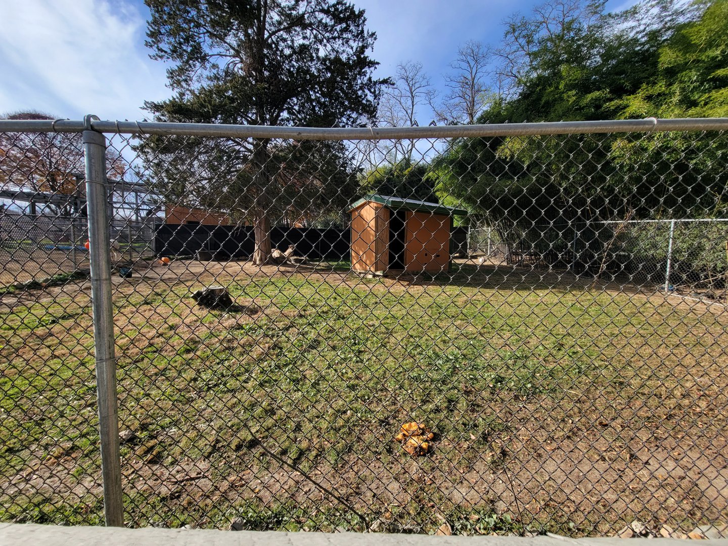 Plumpton Park - One of two dromedary yards (the other is across from the cougars)
