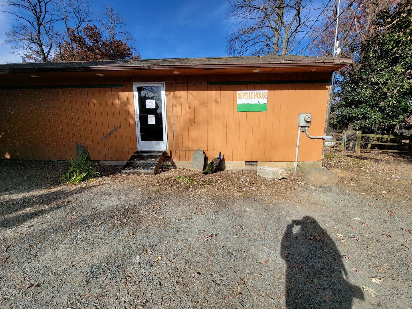 Plumpton Park - Reptile building, currently closed