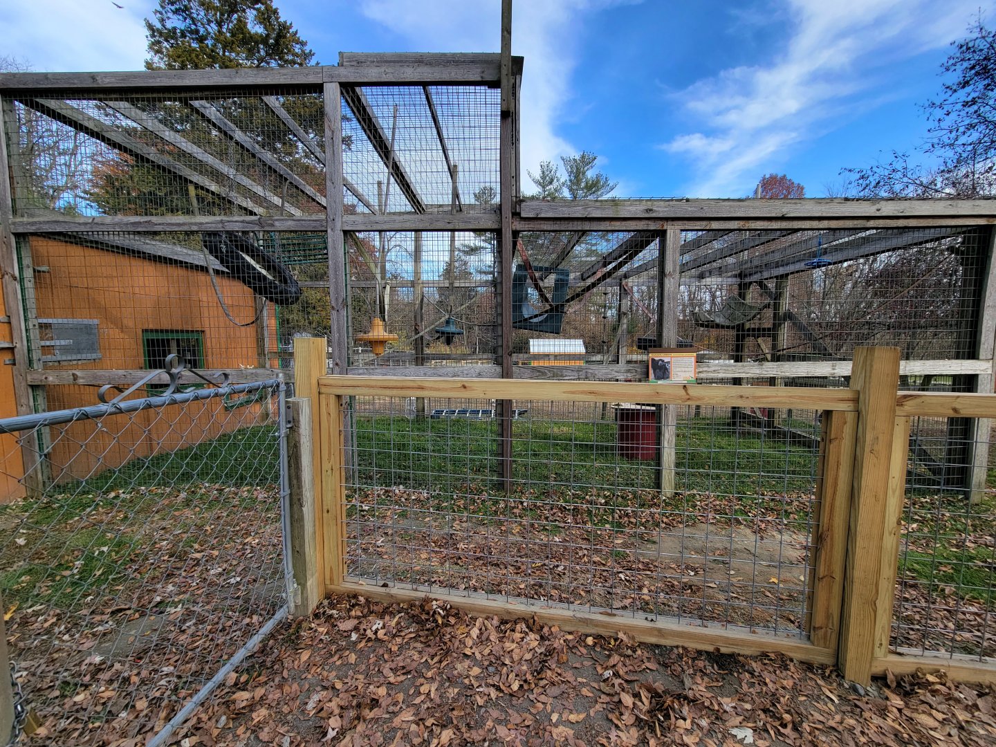 Plumpton Park - Siamang