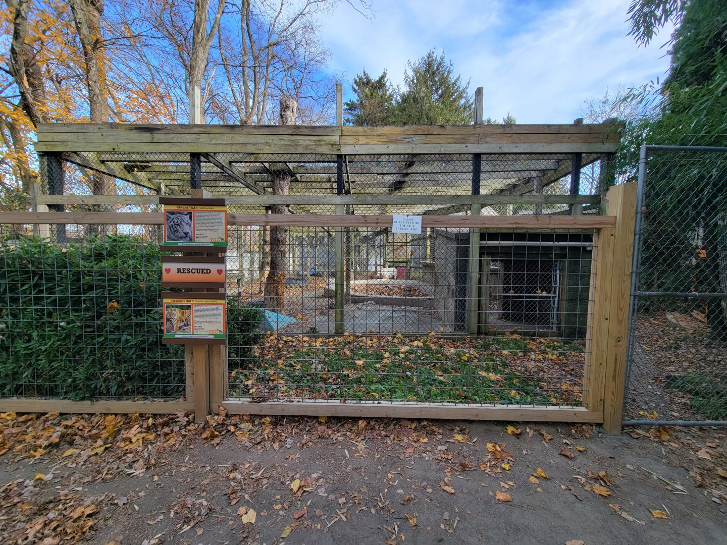 Plumpton Park - Tigers