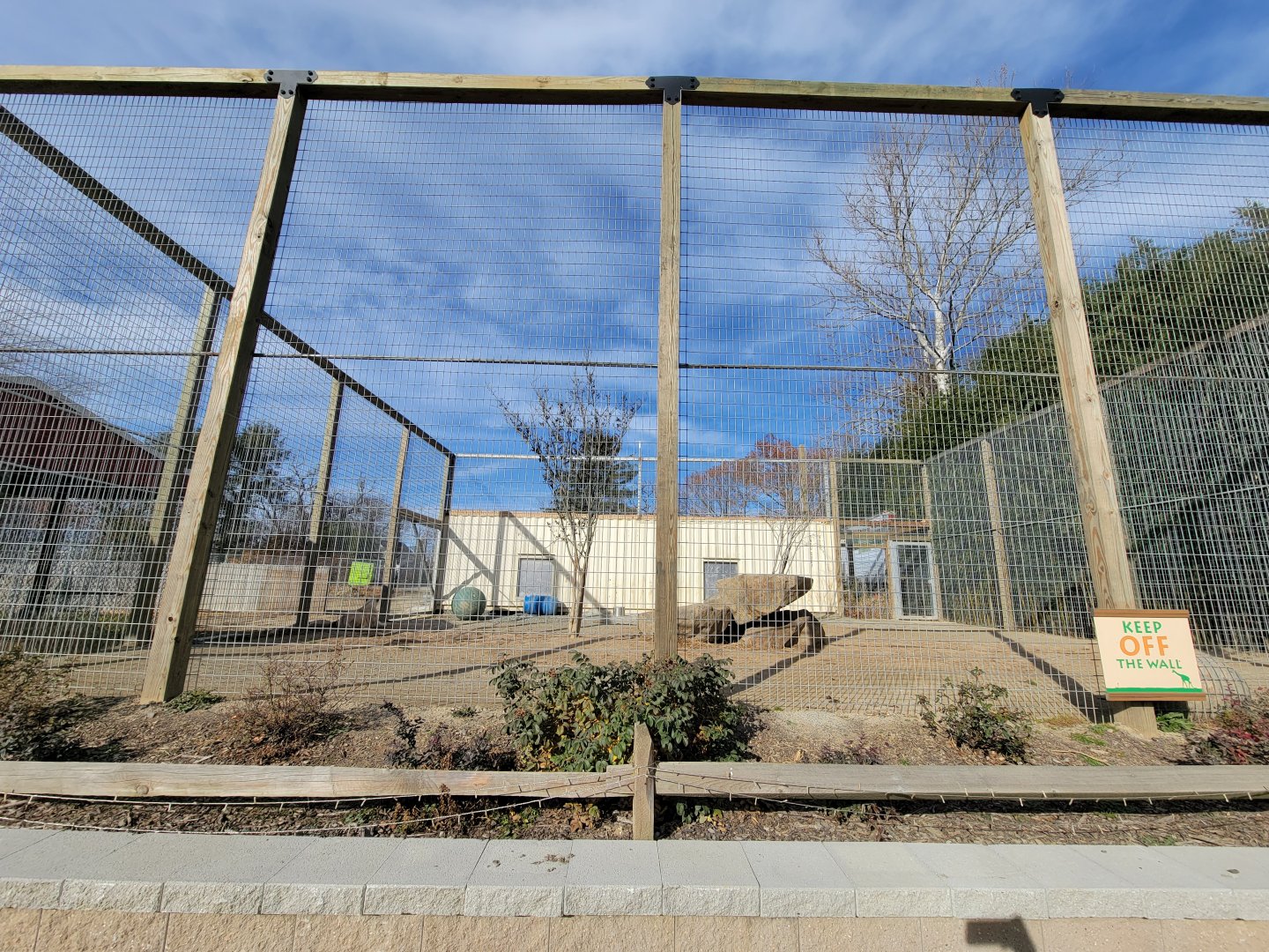 Plumpton Park - White lions