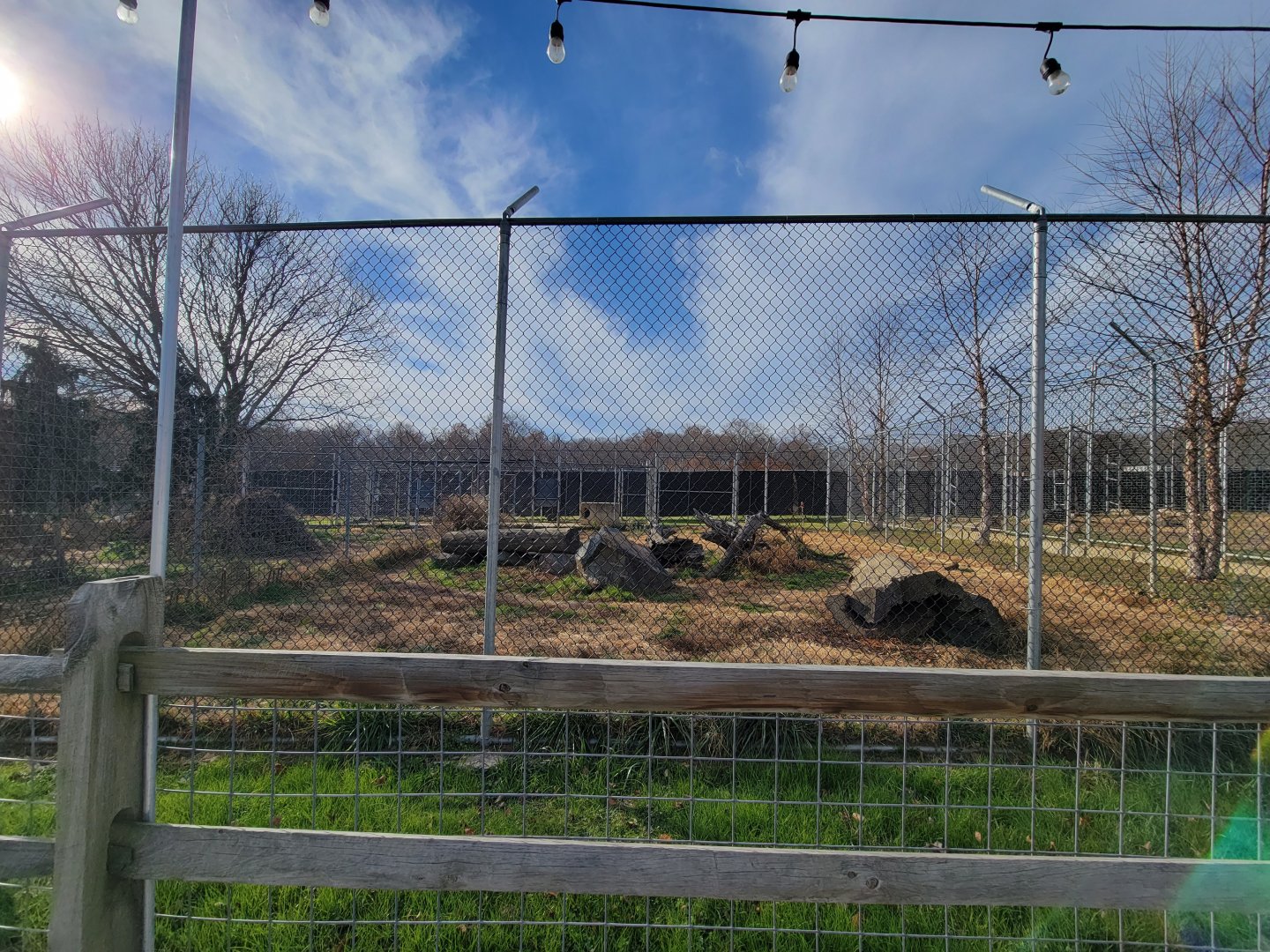 Plumpton Park - Wolves