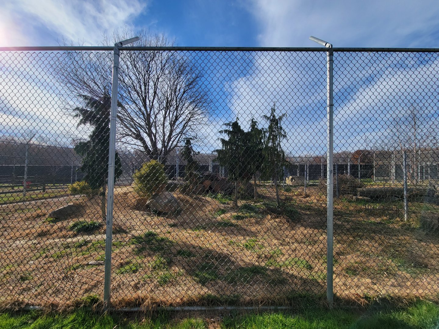 Plumpton Park - Wolves