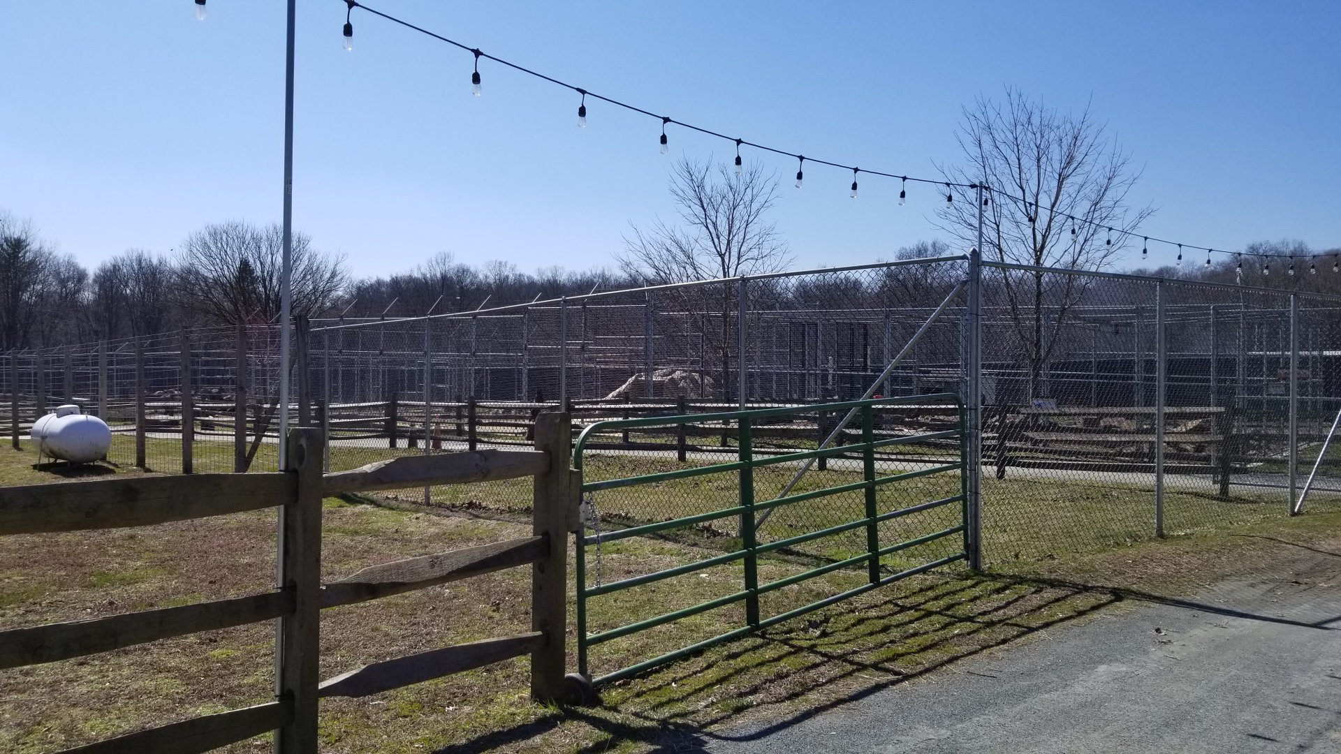 Plumpton Park Zoo - Another view of new carnivore area