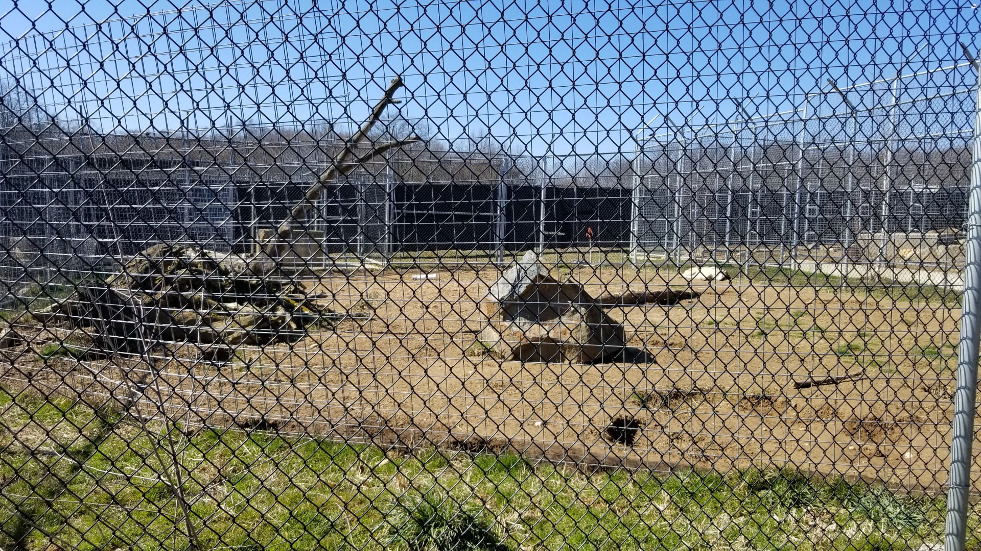 Plumpton Park Zoo - Arctic wolf exhibit 1