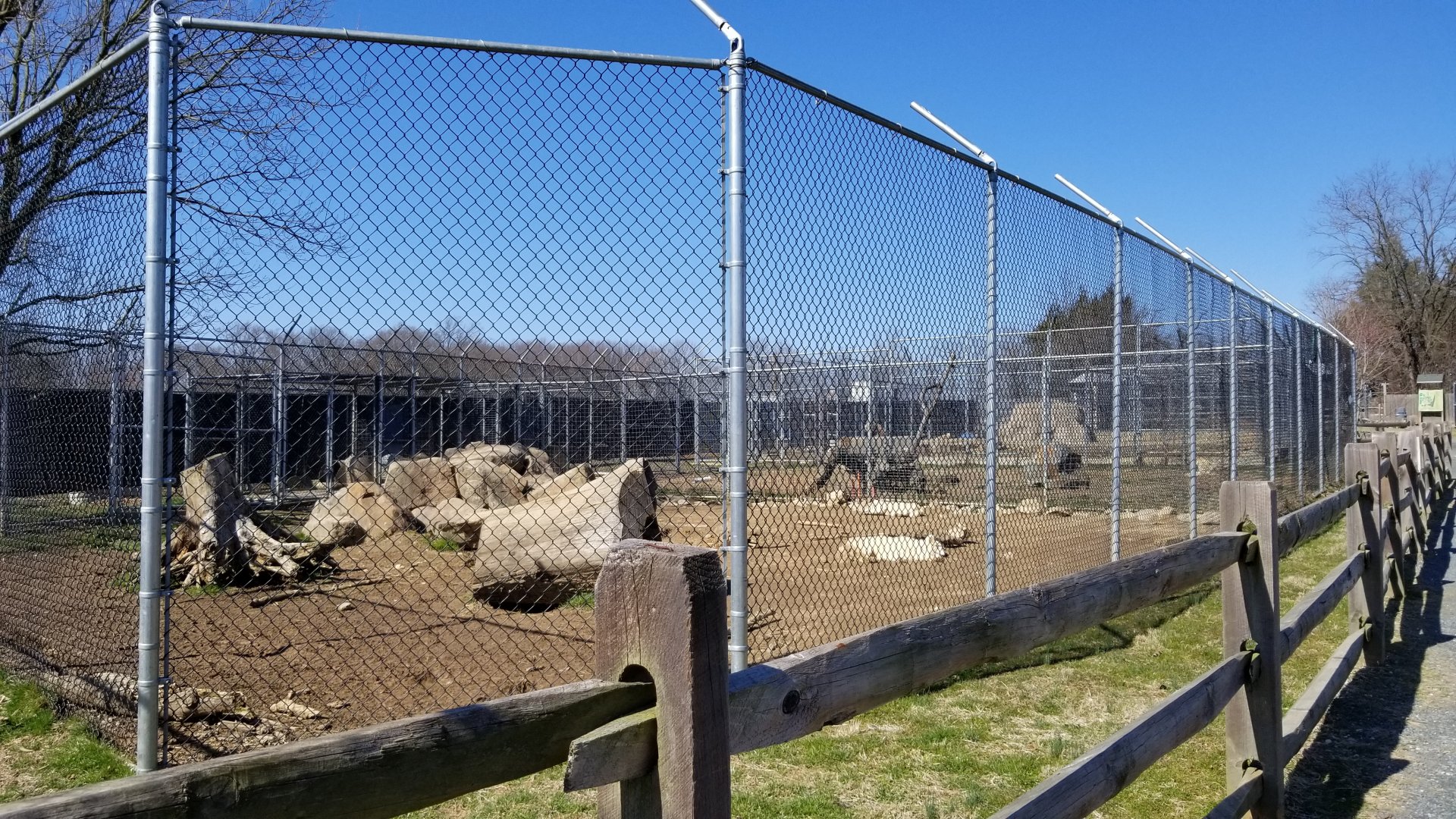Plumpton Park Zoo - Arctic wolf exhibit 2