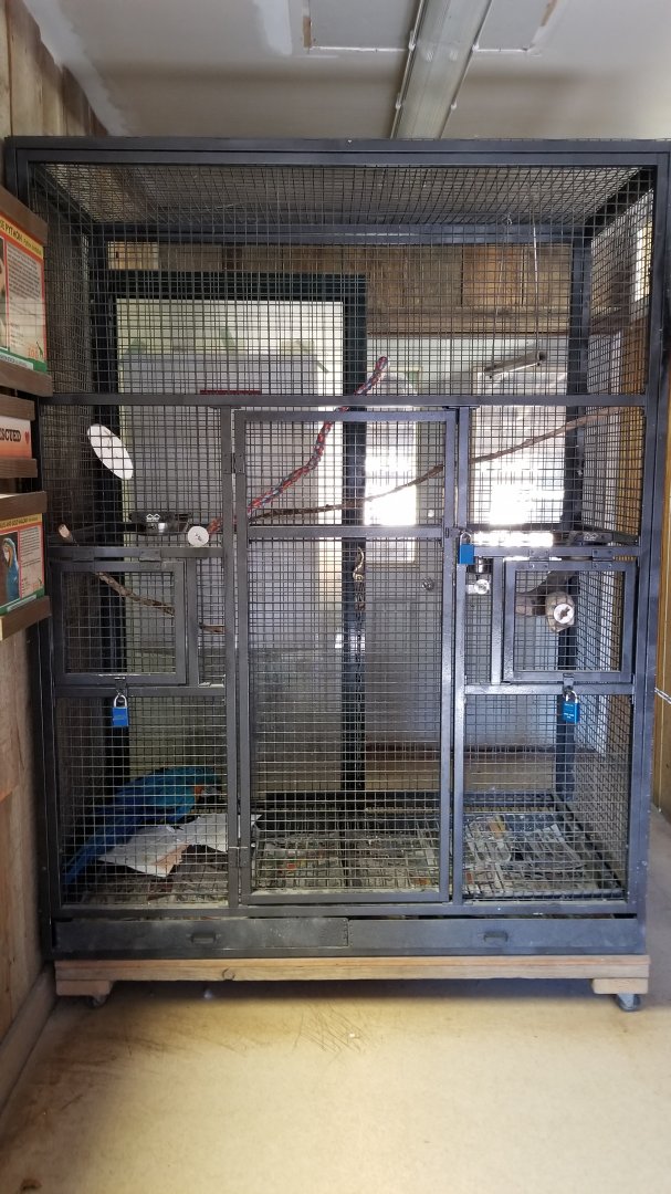 Plumpton Park Zoo - Blue & Gold Macaw cage