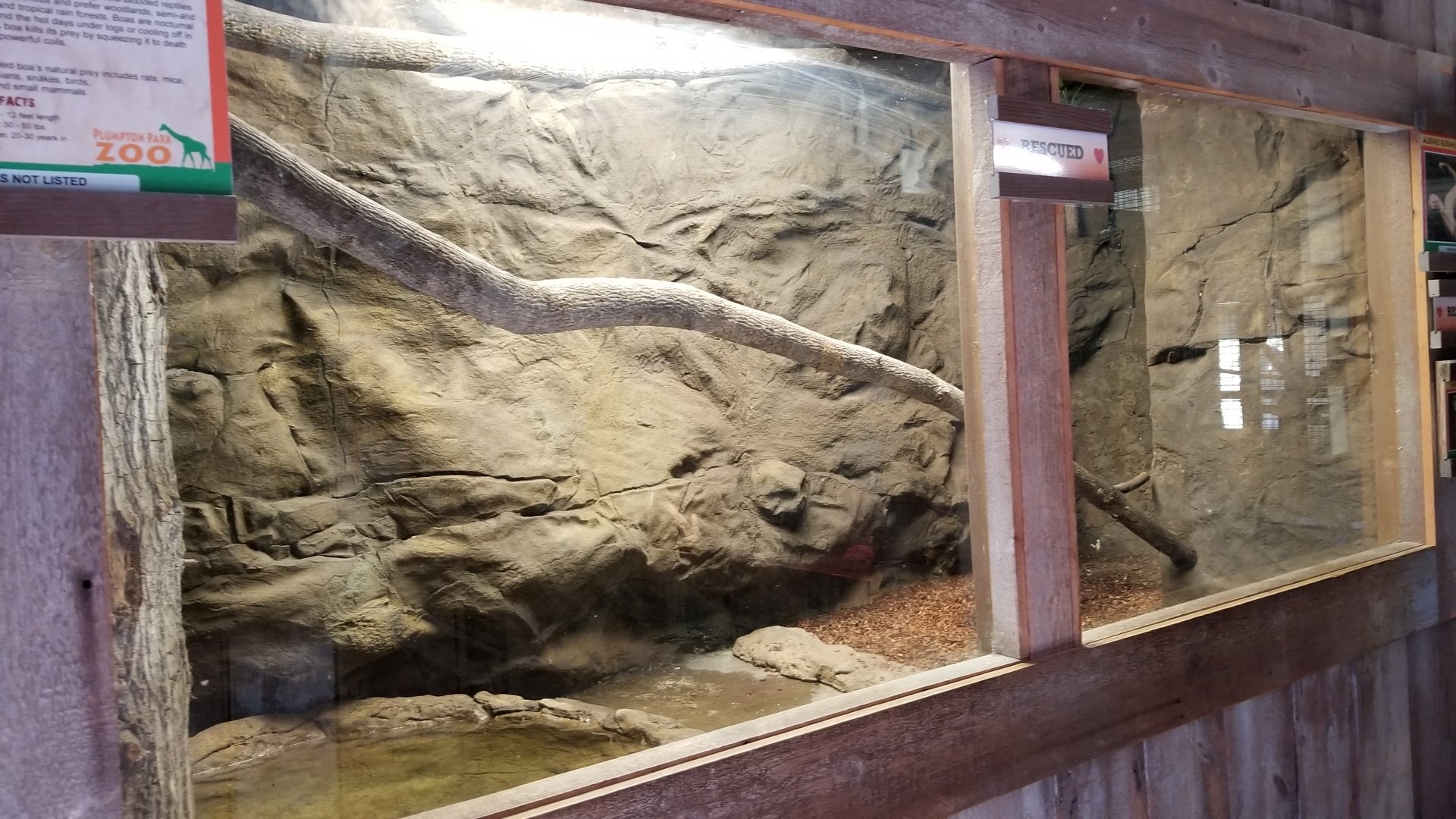 Plumpton Park Zoo - Boa and Burmese exhibit