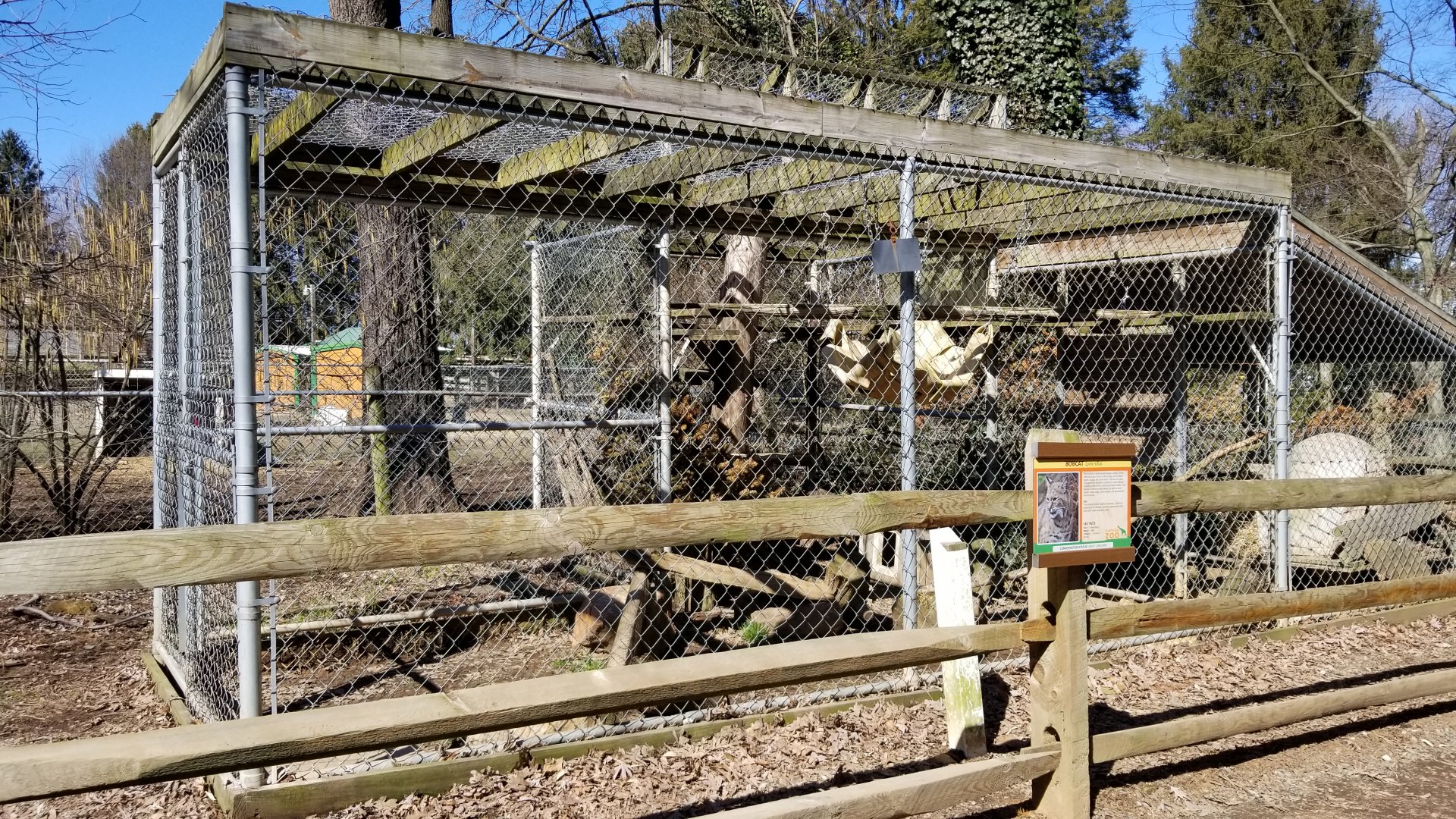 Plumpton Park Zoo - Bobcat (didn't see)