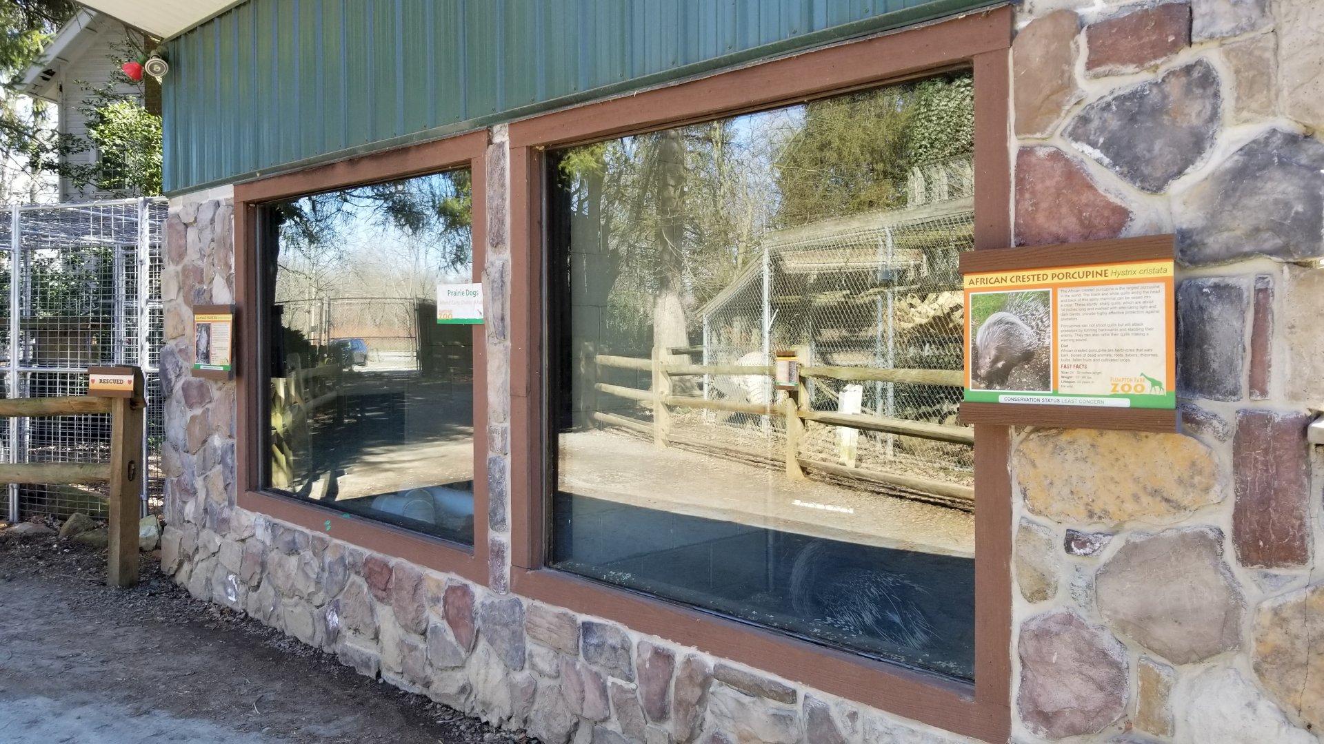 Plumpton Park Zoo - Building with porcupines and prairie dogs