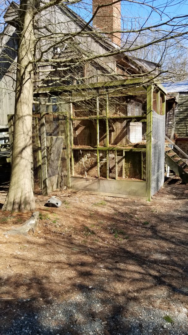 Plumpton Park Zoo - Empty exhibit