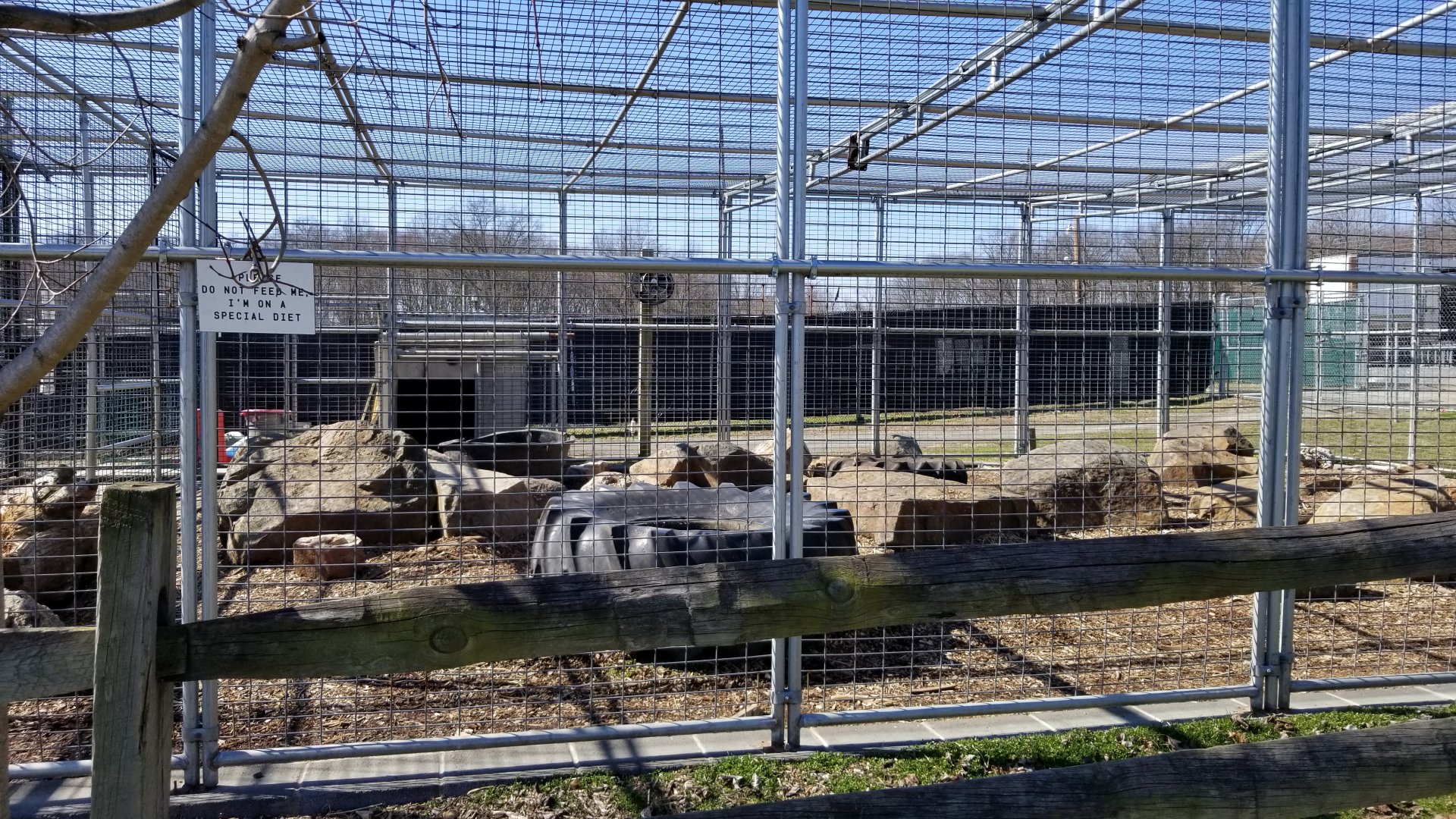 Plumpton Park Zoo - Eurasian brown bear exhibit