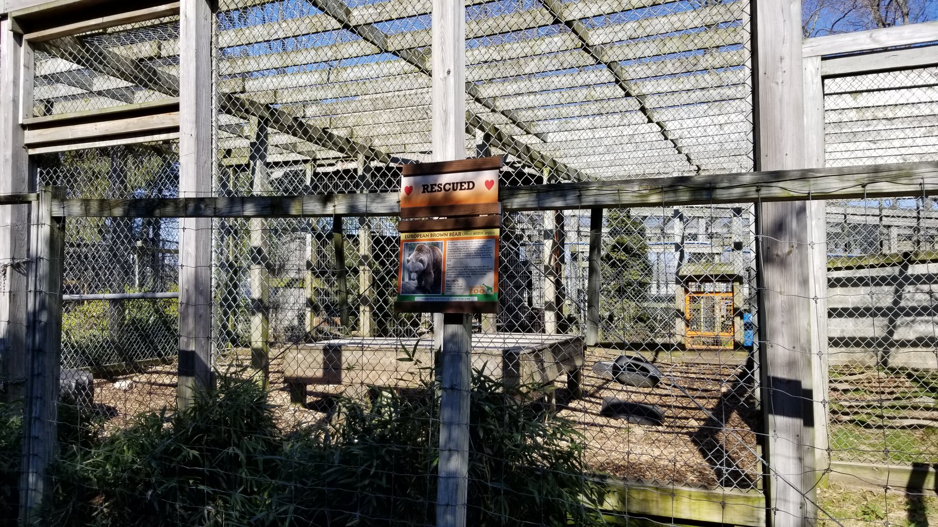 Plumpton Park Zoo - European brown bear