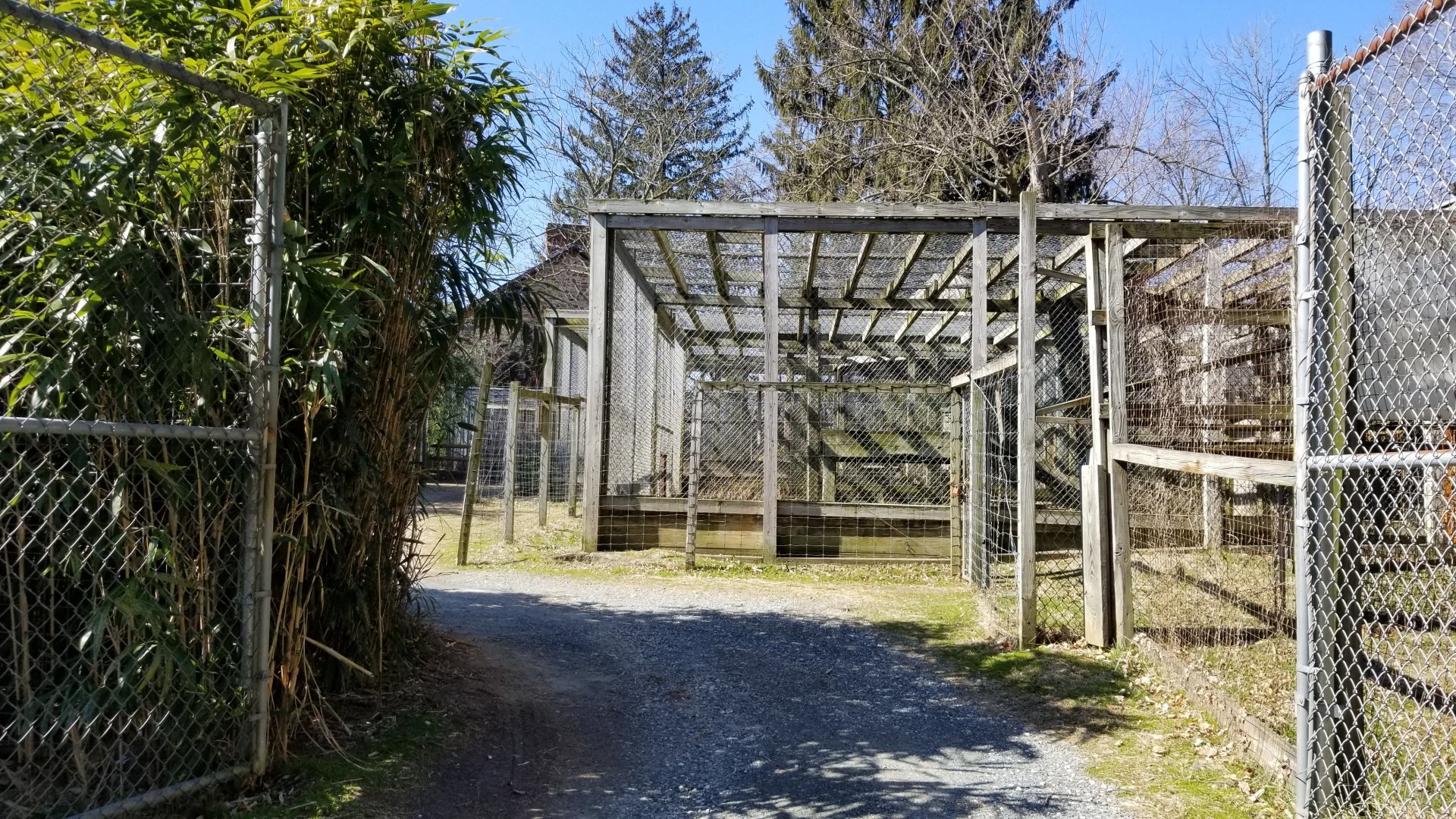 Plumpton Park Zoo - Gated entrance to large carnivore area