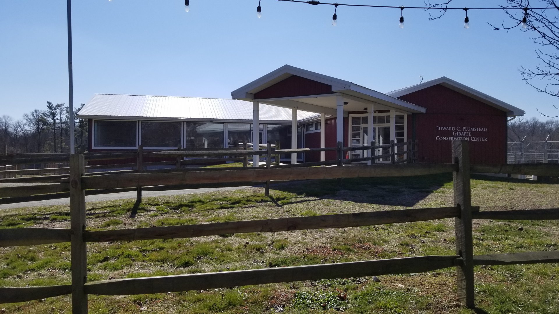 Plumpton Park Zoo - Giraffe Conservation Center