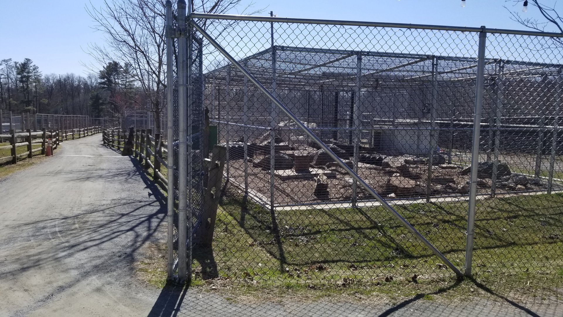Plumpton Park Zoo - Inside gated carnivore area