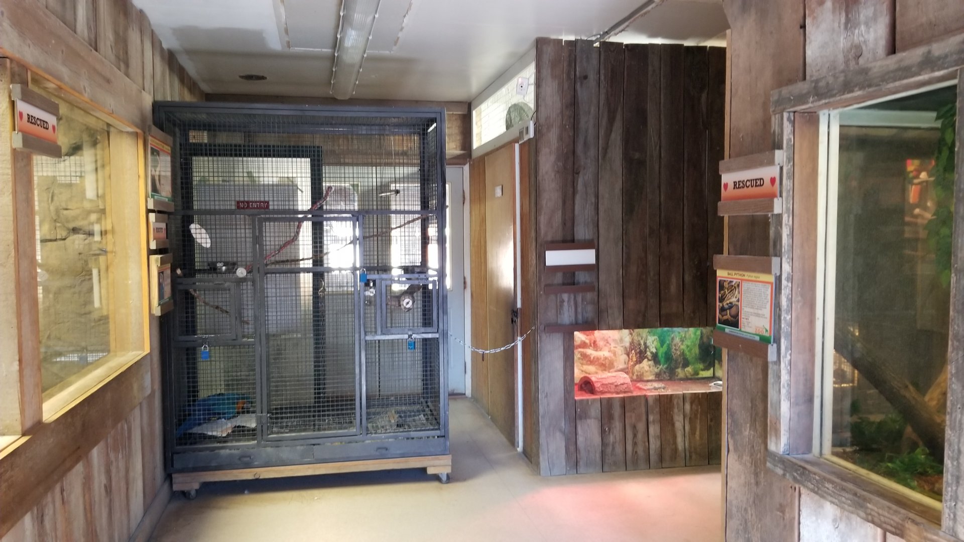 Plumpton Park Zoo - Inside of reptile and bird house