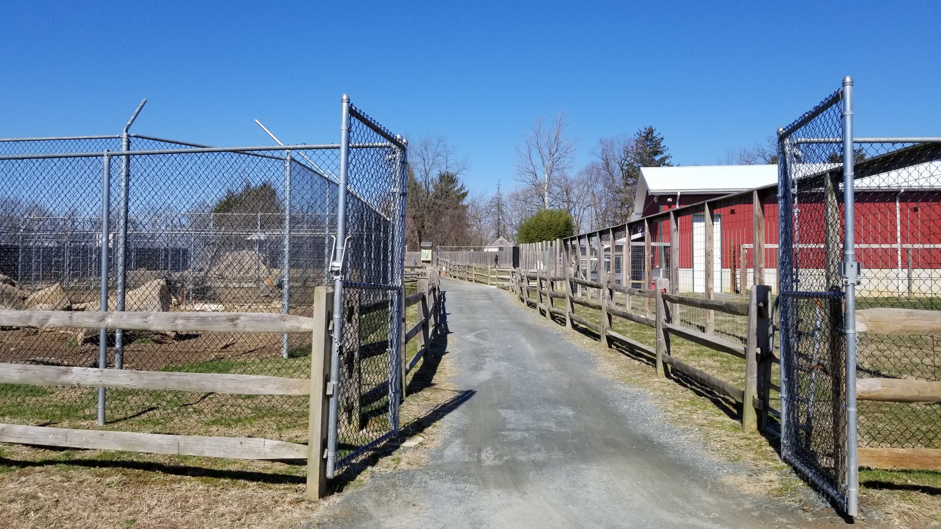 Plumpton Park Zoo - Inside other gate to area